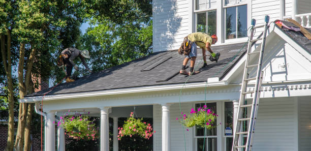 Roof Gutter Cleaning in Hoopeston, IL