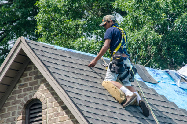 Best Metal Roofing Contractor  in Hoopeston, IL